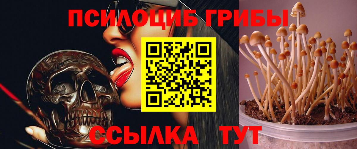 Лянтор  Псилоцибиновые грибы прущие грибы  Галлюциногенные грибы мицелий  Вход с VPN 