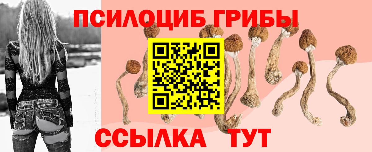 Псилоцибиновые грибы мицелий Лянтор